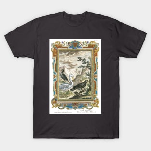 Heron - Birds - Physica Sacra T-Shirt